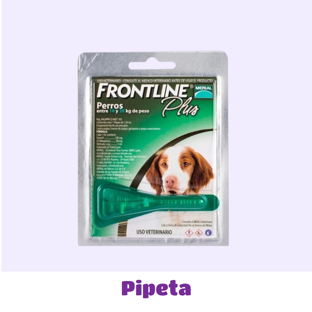 PIPETA 10 A 20 KG