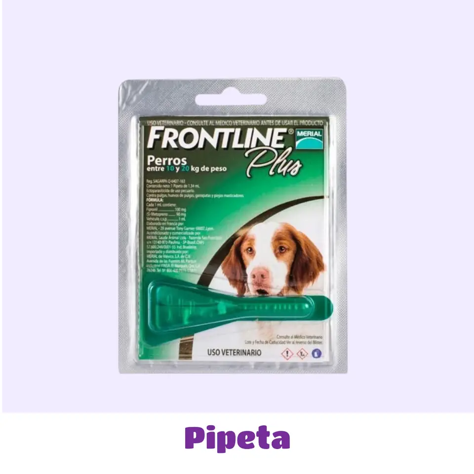 PIPETA 10 A 20 KG