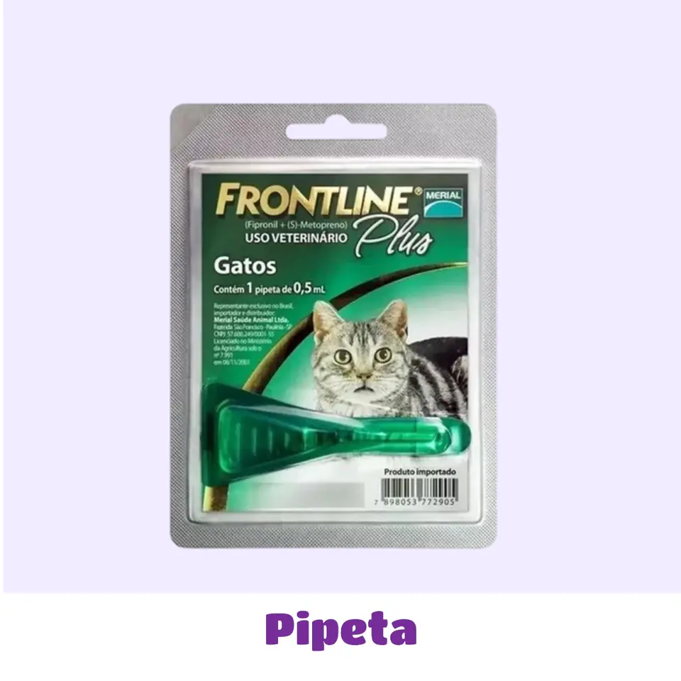 PIPETA DE GATO
