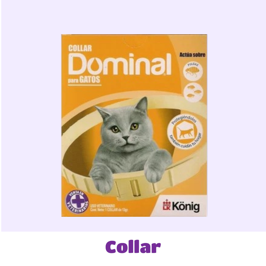 COLLAR GATO DOMINAL