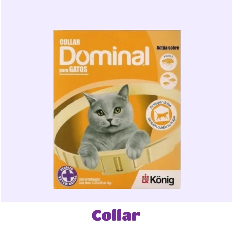 COLLAR GATO DOMINAL