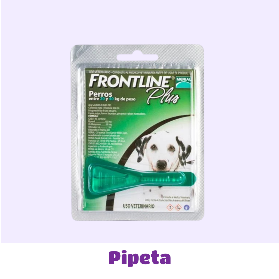 PIPETA 20 A 40 KG