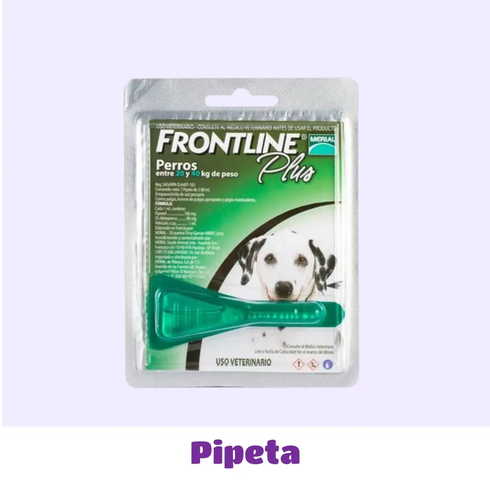 PIPETA 20 A 40 KG