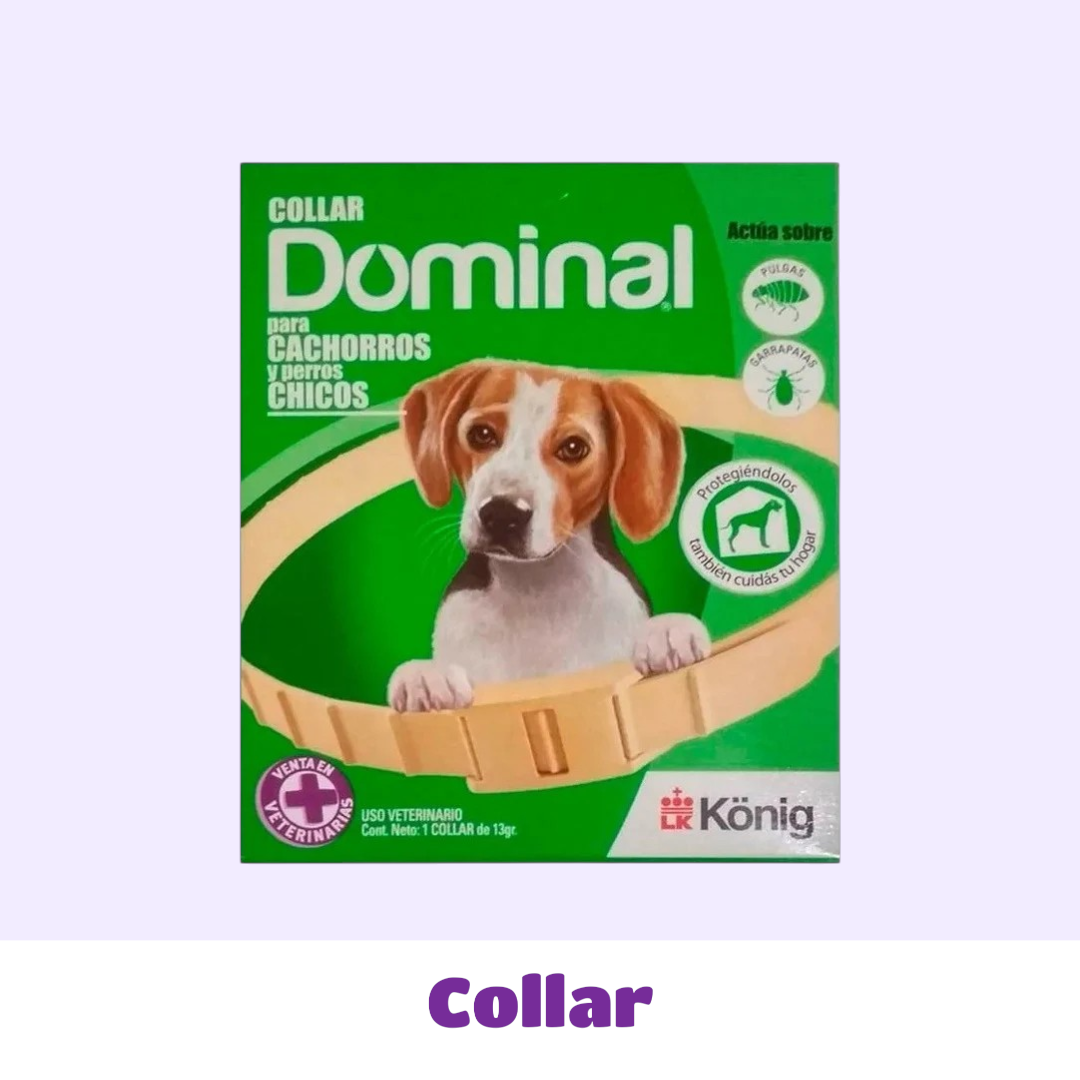 COLLAR CHICO DOMINAL