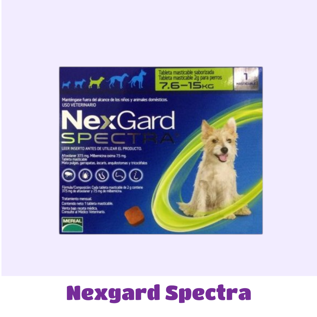 NEXGARD SPECTRA 7.5 A 15 KG
