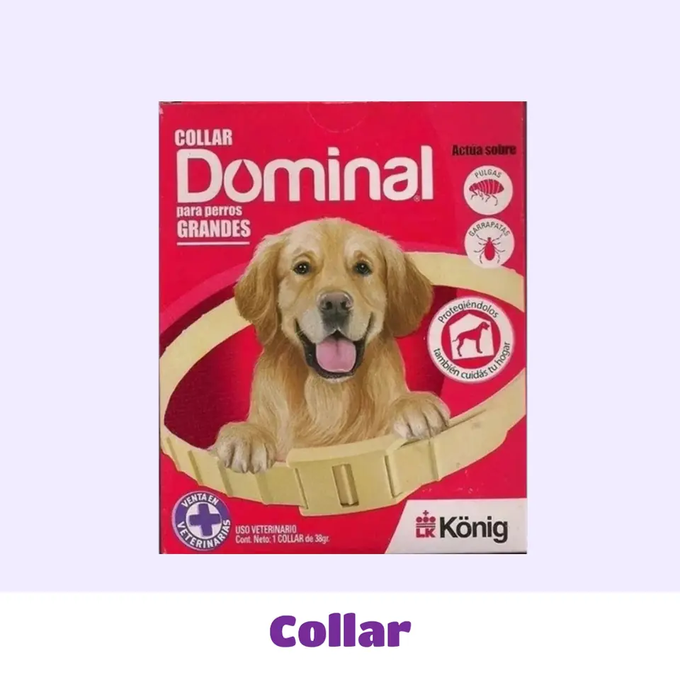 COLLAR GRANDE DOMINAL