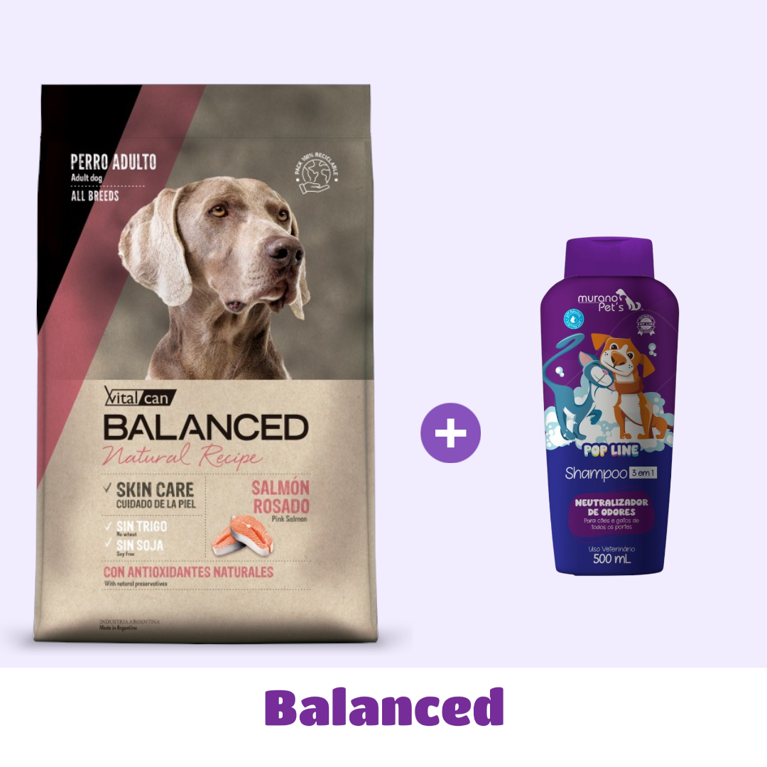 BALANCED 17 KG + SHAMPOO 🎁