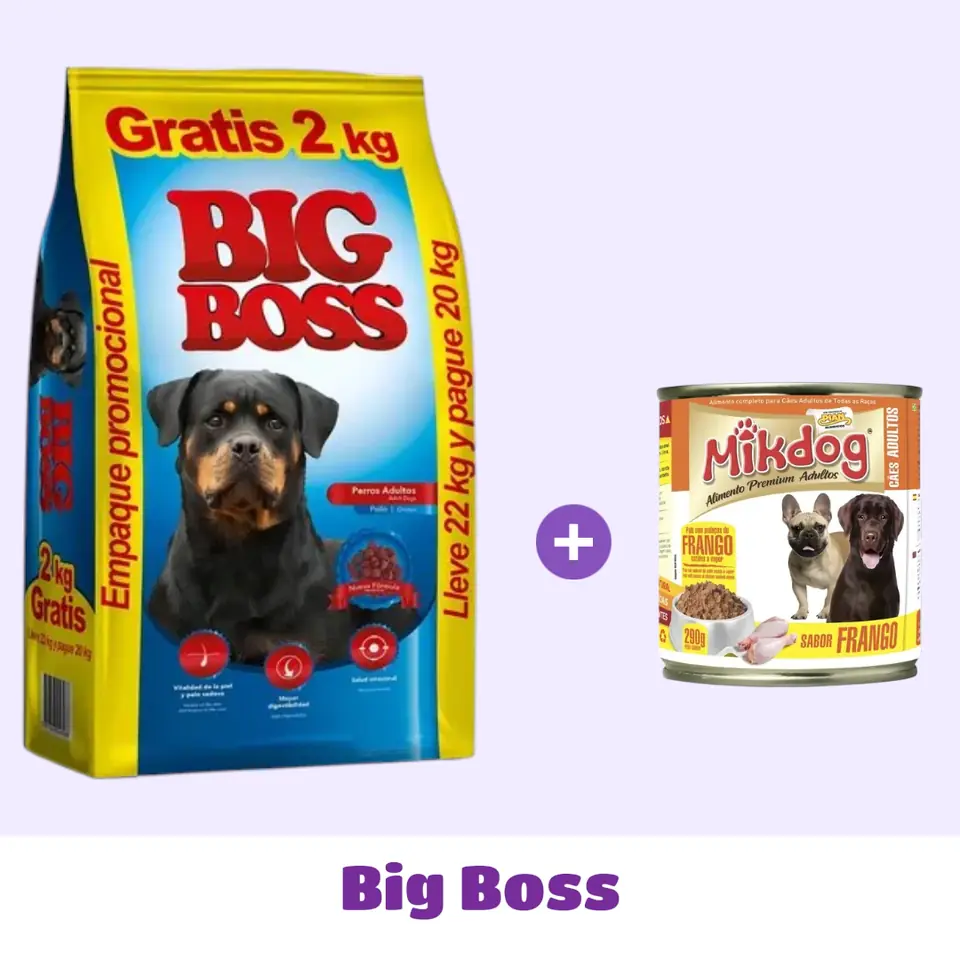 BIG BOSS 22 KG