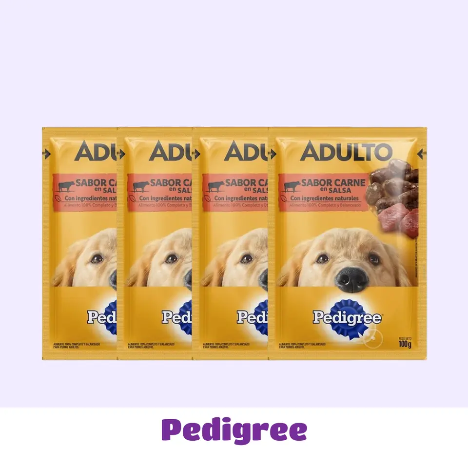 SALSAS PEDIGREE X12