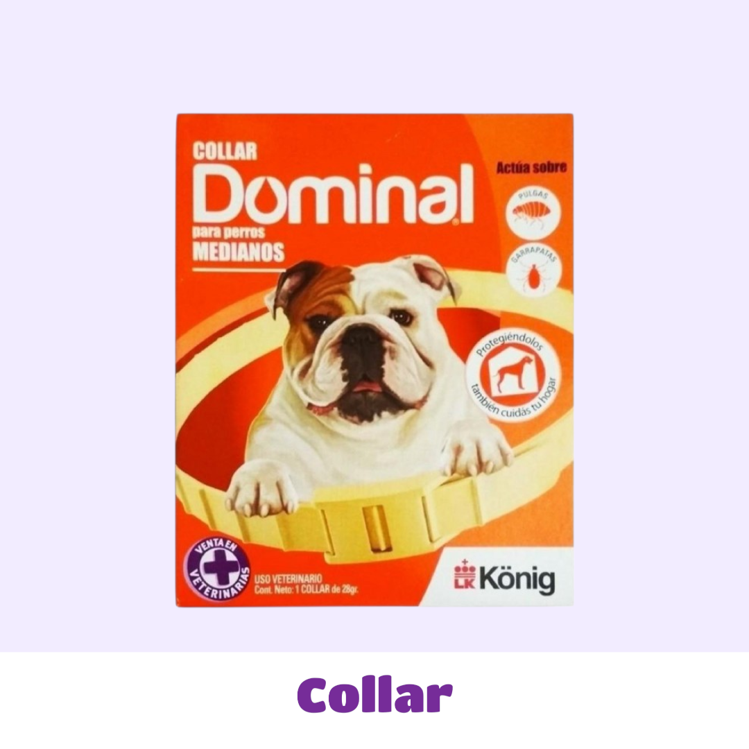 COLLAR MEDIANO DOMINAL