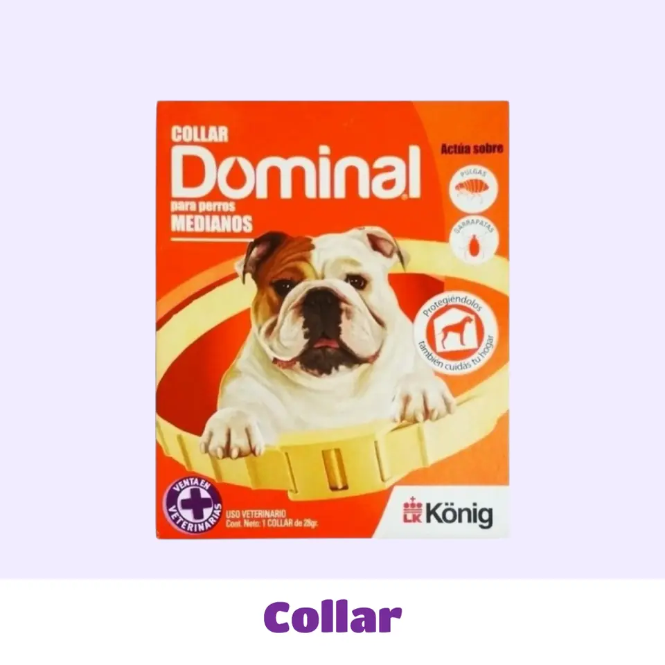 COLLAR MEDIANO DOMINAL