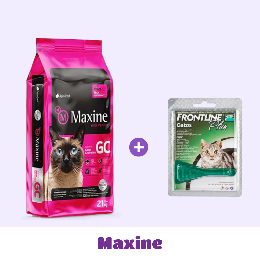 MAXINE GATO CASTRADO 7,5 KG + PIPETA