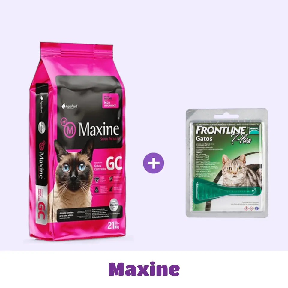 MAXINE GATO CASTRADO 7,5 KG + PIPETA