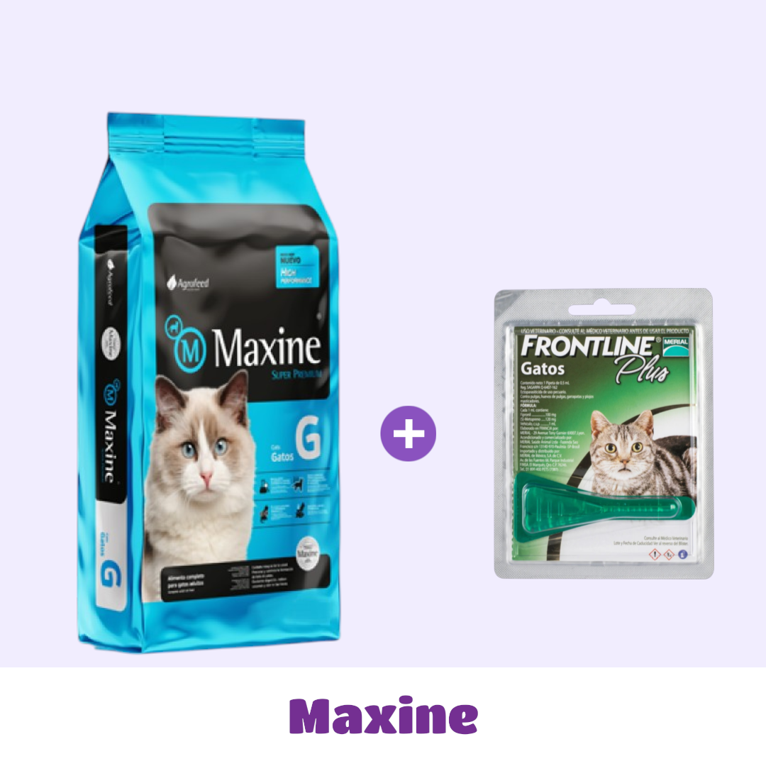 MAXINE GATO 7,5 KG + PIPETA