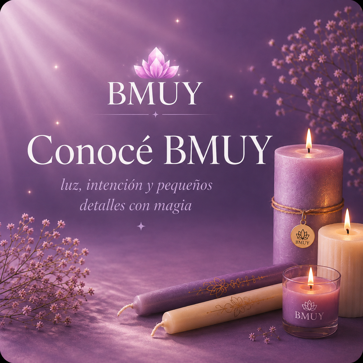 Conocé BMUY