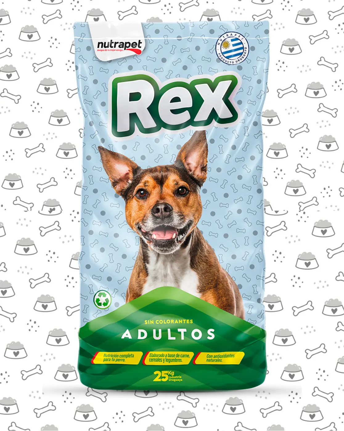 REX PERRO 7KG
