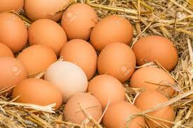 Huevos de granja Free Range