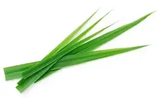 LEMON GRASS