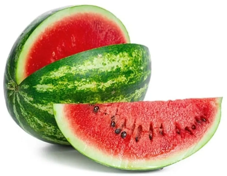 SANDIA