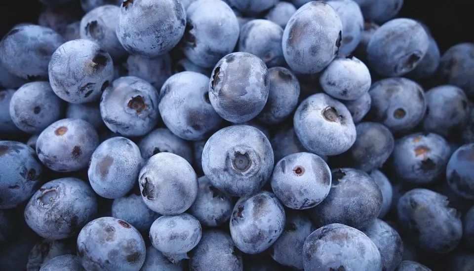Arandanos petaca 150grs