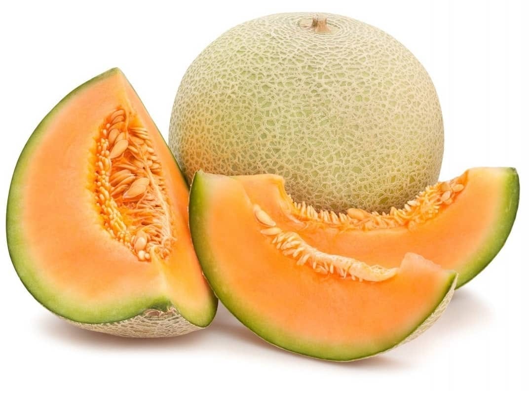 MELON