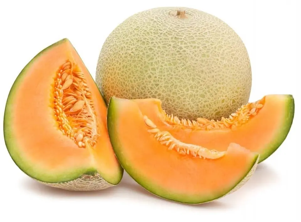 MELON