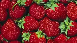 Frutillas