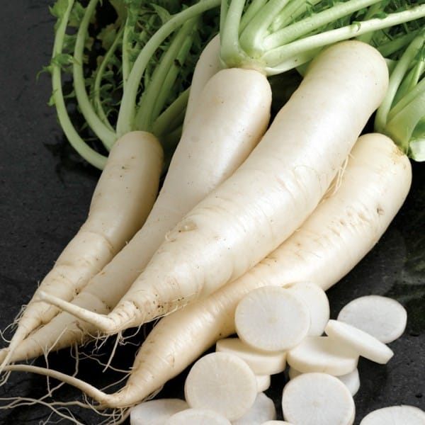 Nabo Daikon
