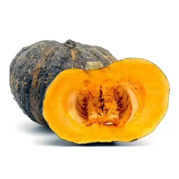 ZAPALLO KABUTIA