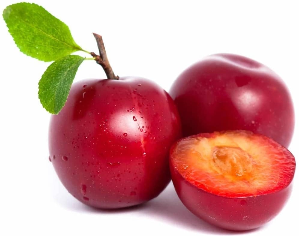 CIRUELA