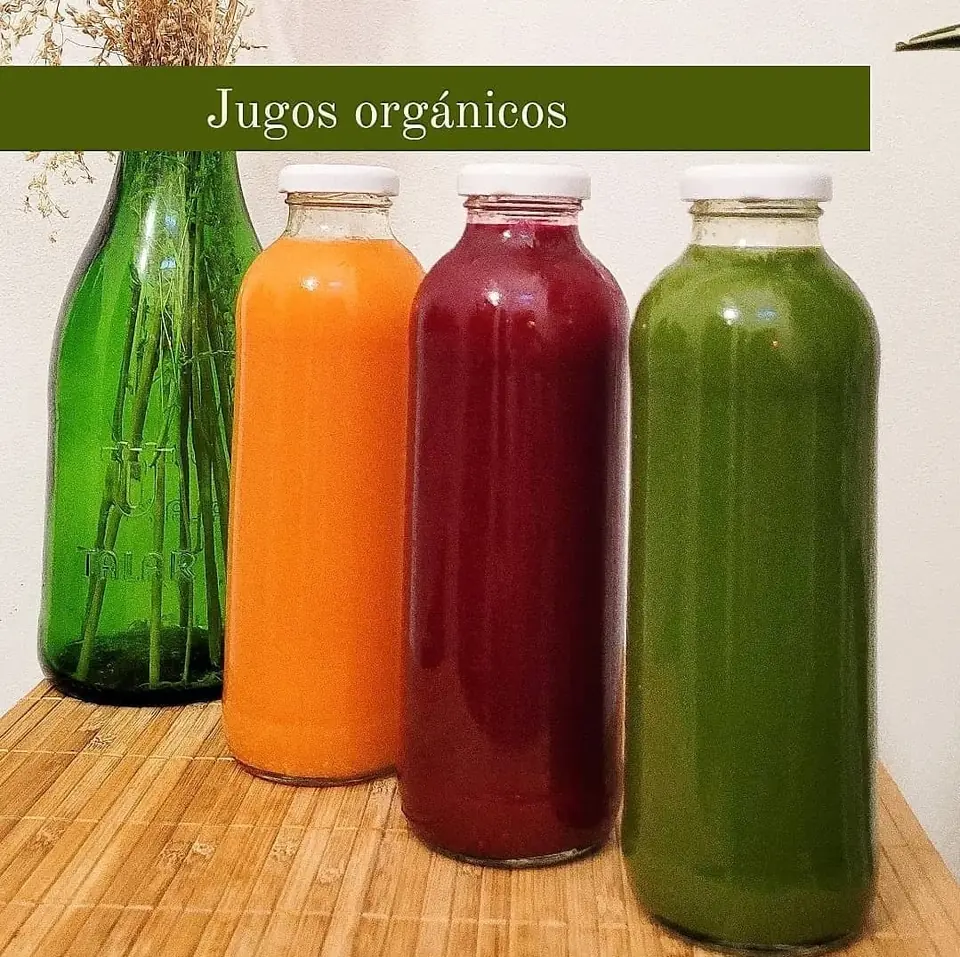 Jugos organicos 500ml