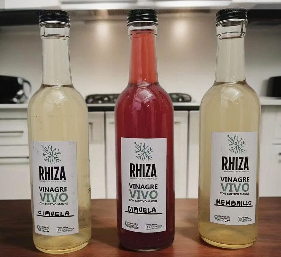 Vinagre Rhiza 330ml