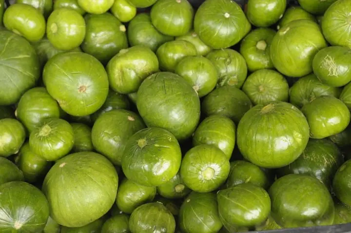 ZAPALLITO