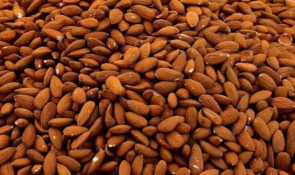 Almendras peladas crudas