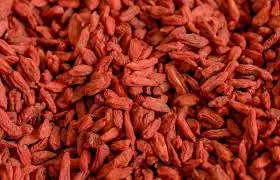 Bayas de goji