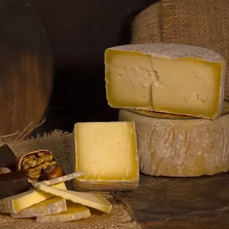 Queso agroecologico tipo PARMESANO