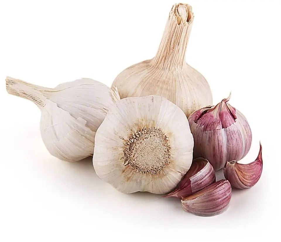 Ajo