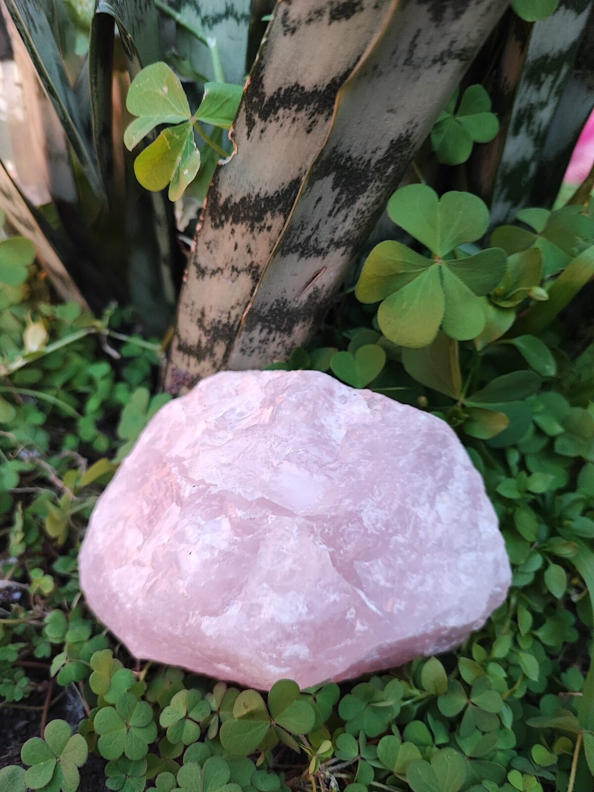 Cuarzo Rosa en bruto