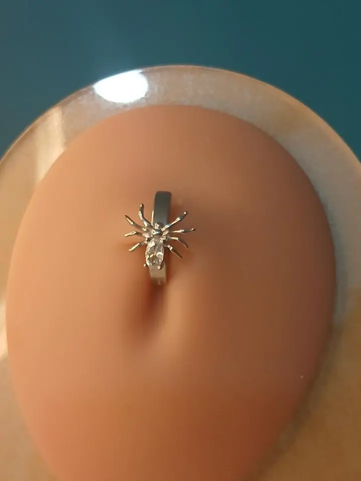 navel spider