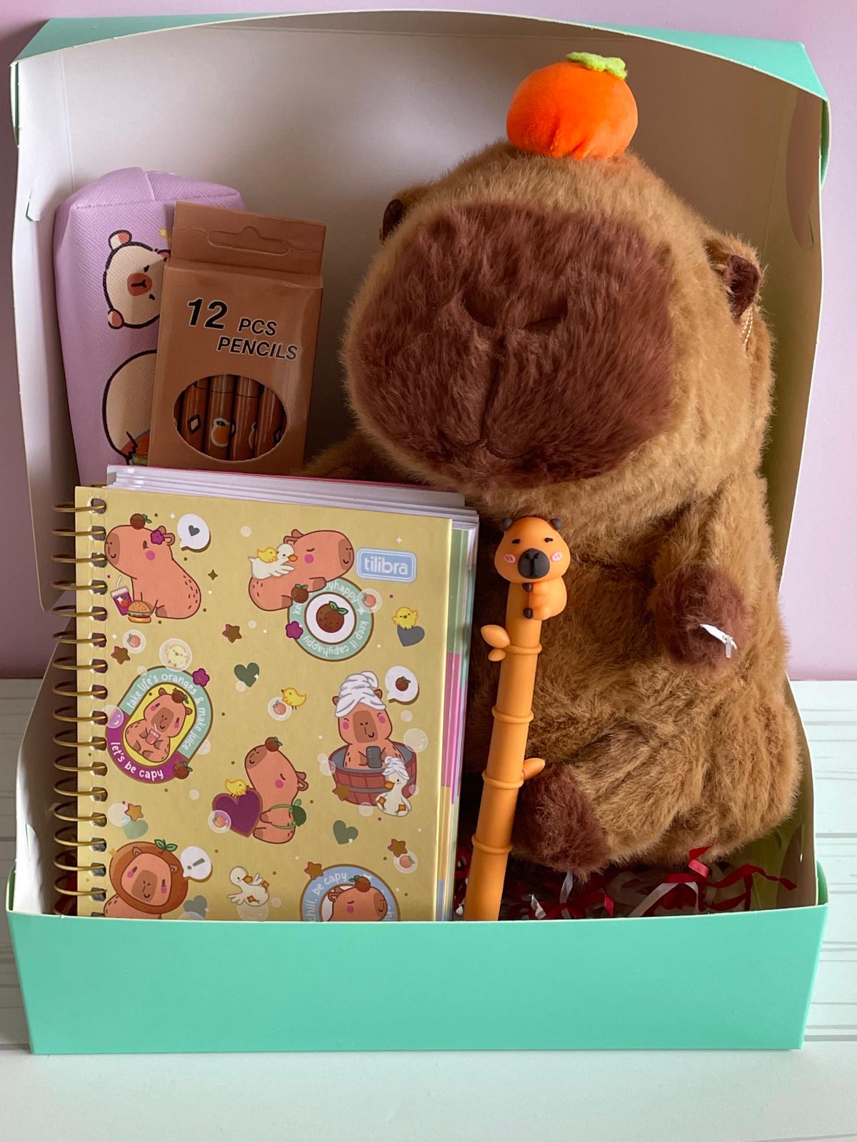 Box Capibara.