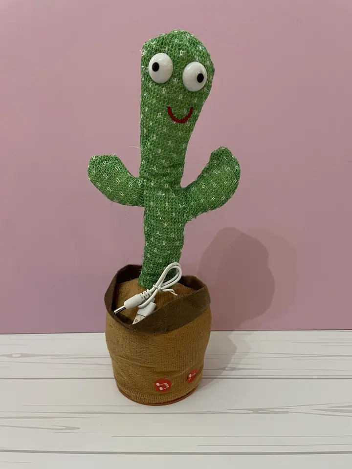 Cactus Bailarín y Parlanchín.
