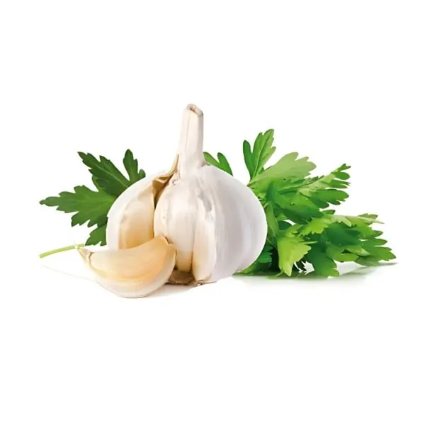 Ajo y perejil