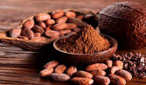 Cacao en polvo
