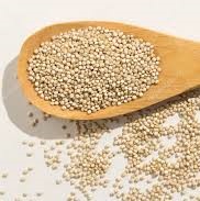 Quinoa