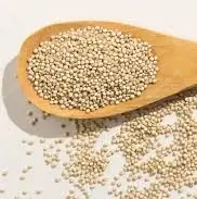 Quinoa