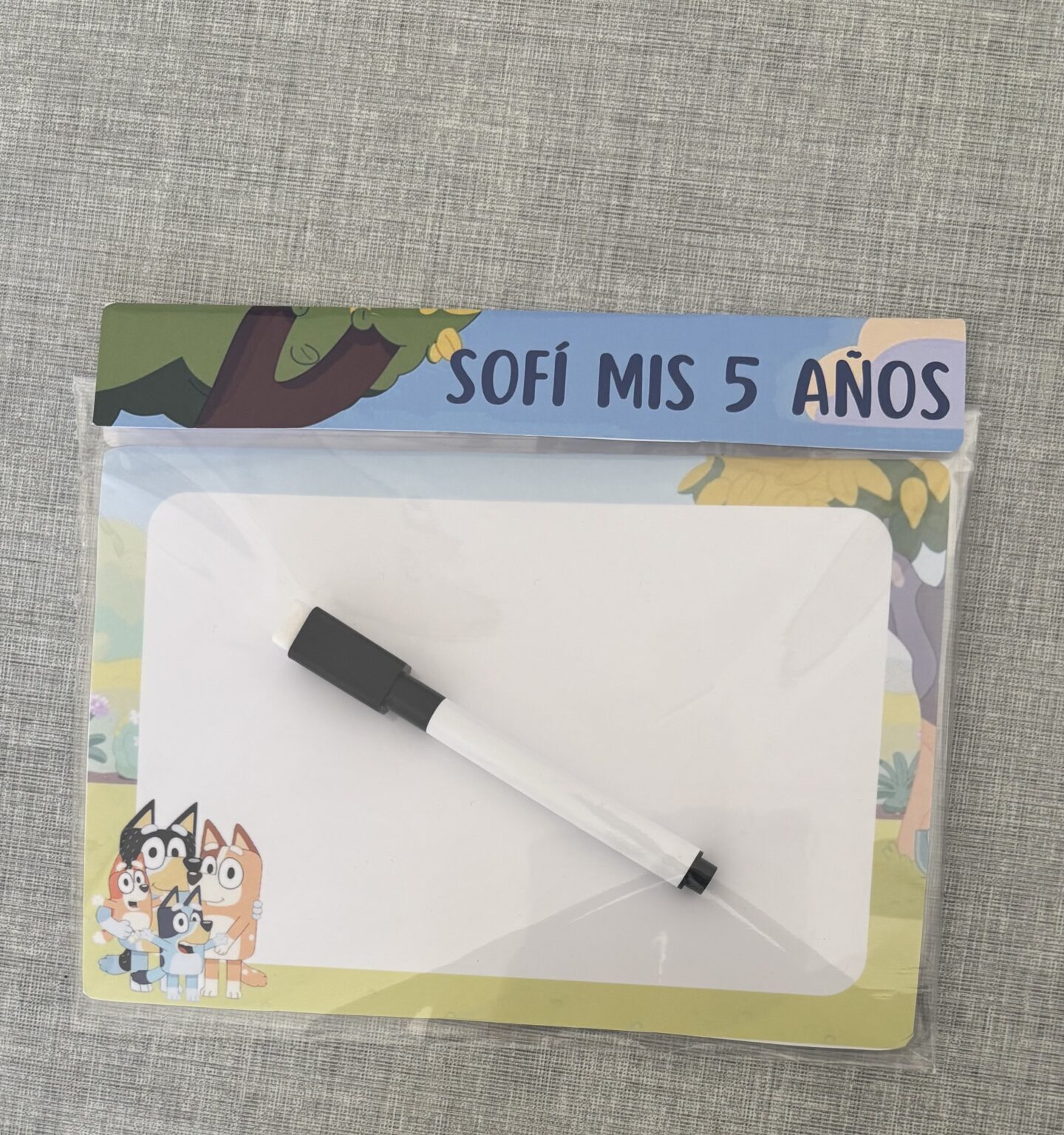Mini Pizarra