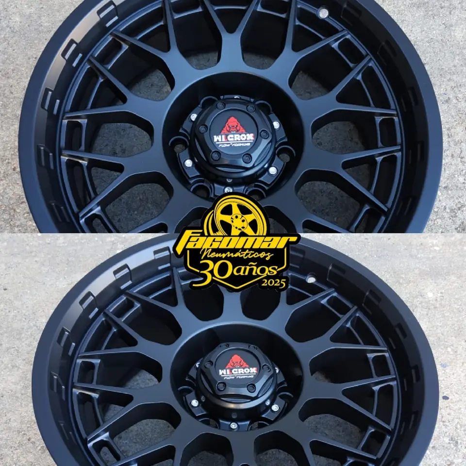 17x8,5 pase 6x139