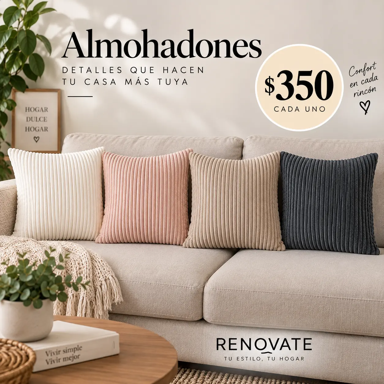 Almohadones 43cm x43cm aterciopelados