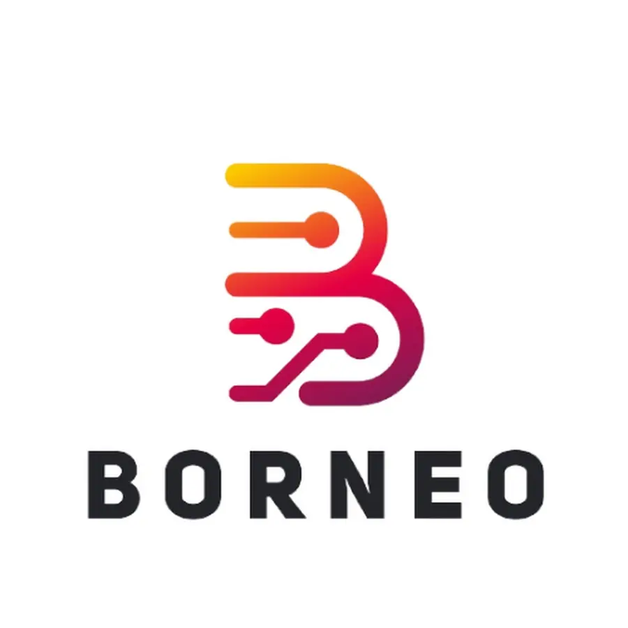 Activación Borneo Schematics (1 usuario / 12 meses)