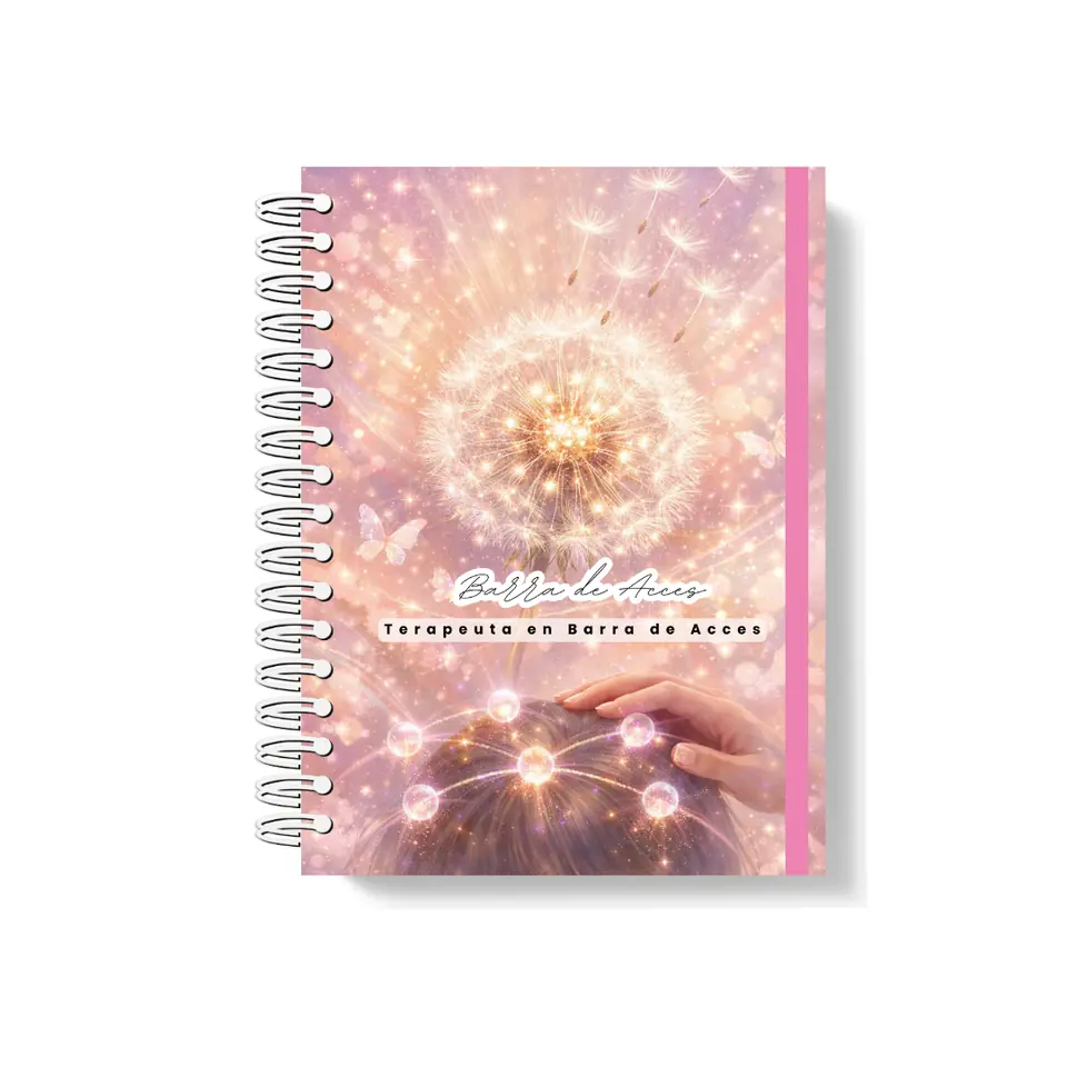 Agenda Barra de Acces